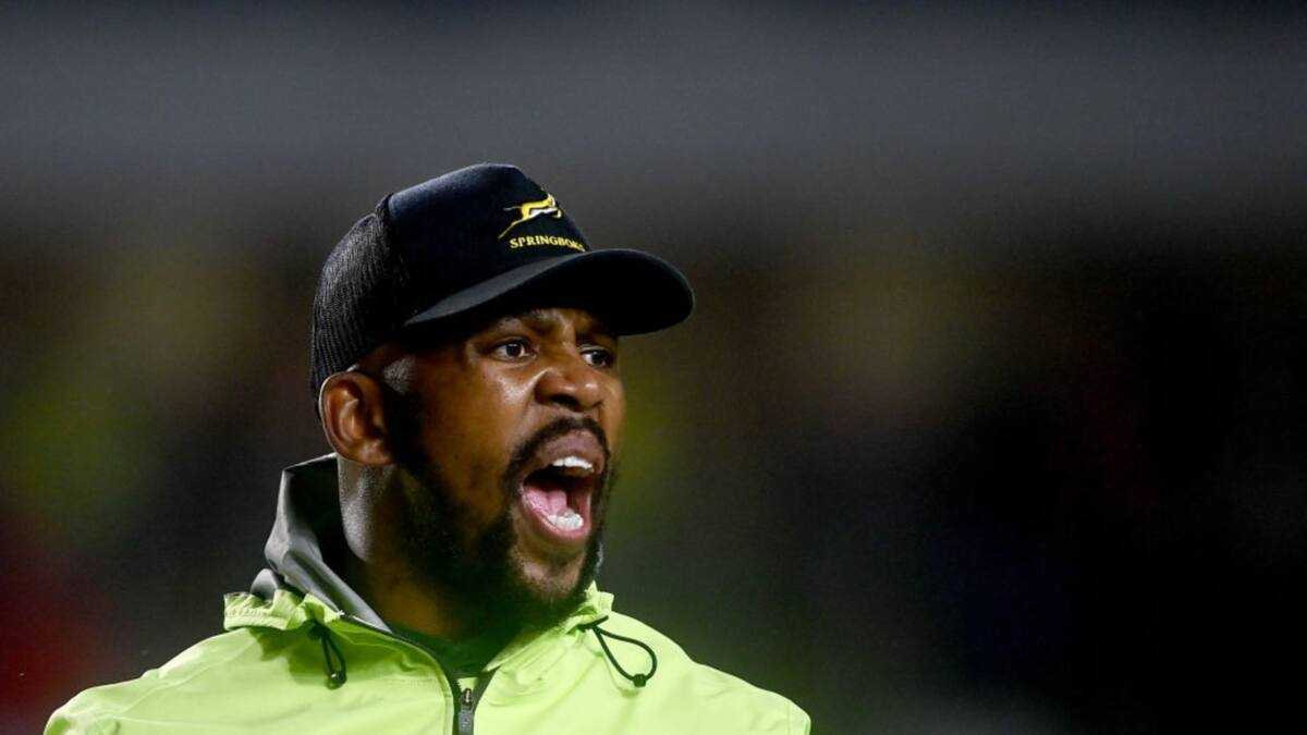 Mzwandile Stick's bio: Who is the backline coach for the SA rugby team ...