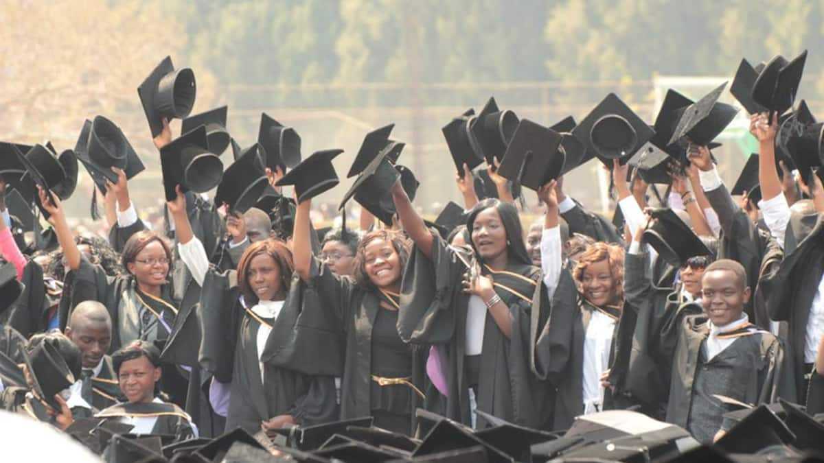 The best universities in Zimbabwe in 2022 (latest ranking) - Briefly.co.za