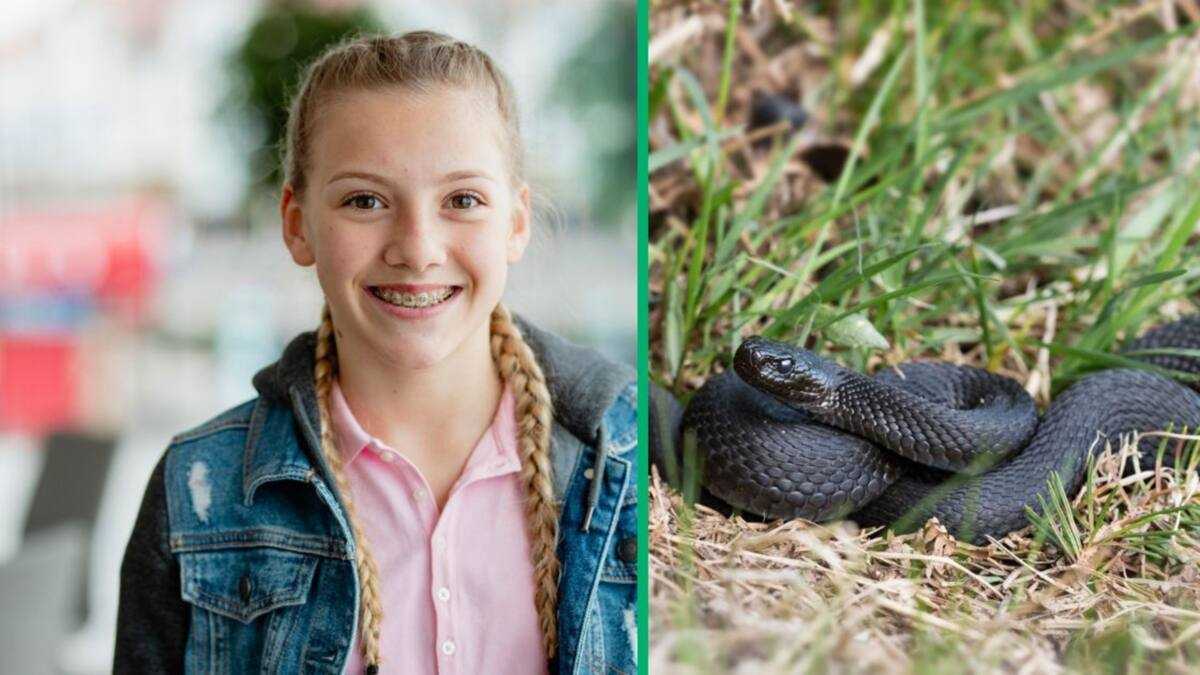 Heroic 12-Year-Old Saves Pet Guinea Pig from Python Attack - Captured ...