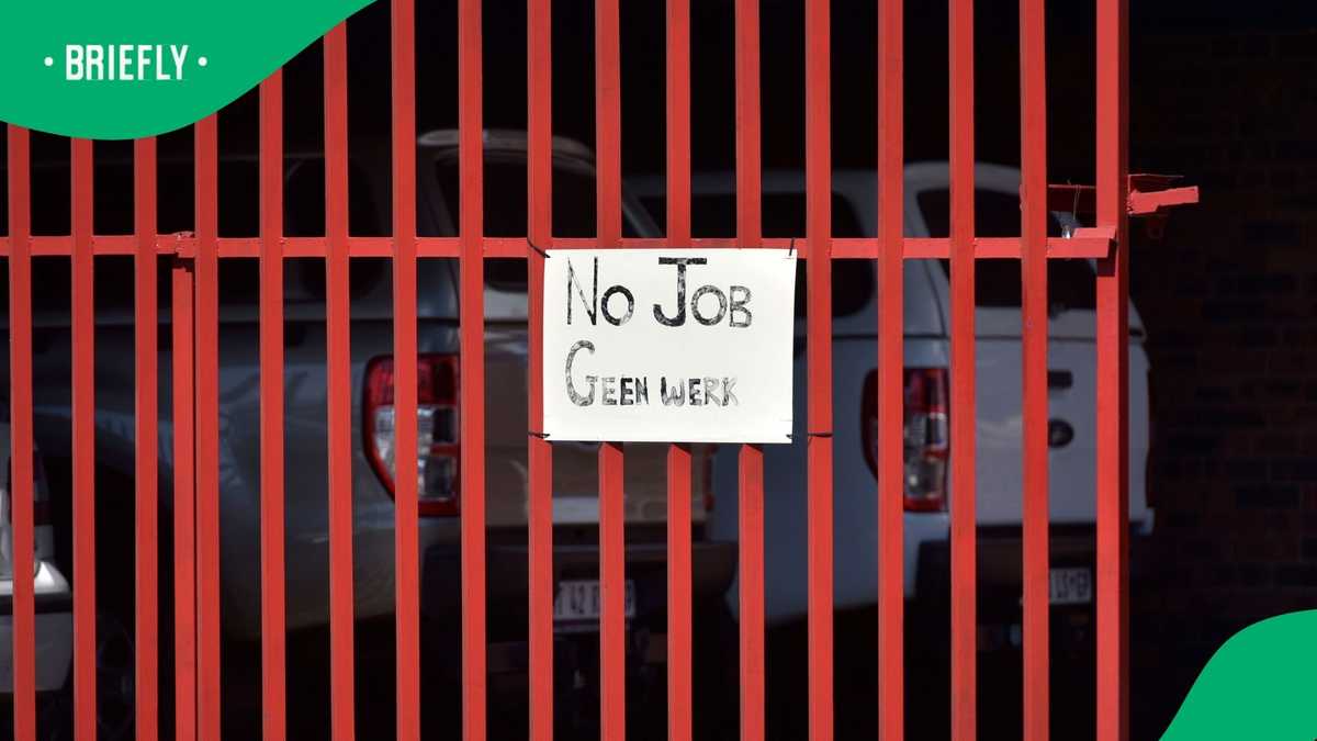 Eastern Cape has the highest unemployment rate in South Africa, netizens disappointed