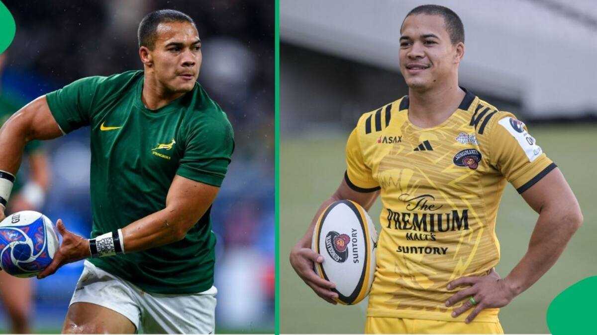 World Cup-Winning Springbok Winger Cheslin Kolbe Begins His ...