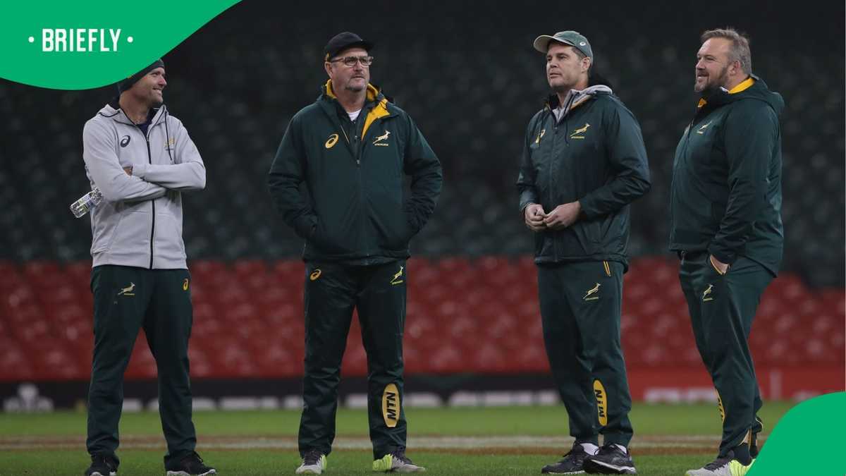 Springboks coaches defend high-ball law shift as rugby debate intensifies