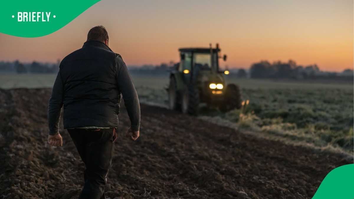 South African workers turn to H-2A visa for farm jobs in US, a growing trend