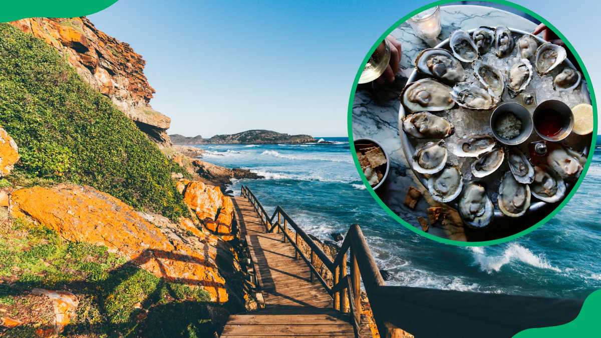 The 7 finest restaurants in Plettenberg Bay: Experience the best of Plett