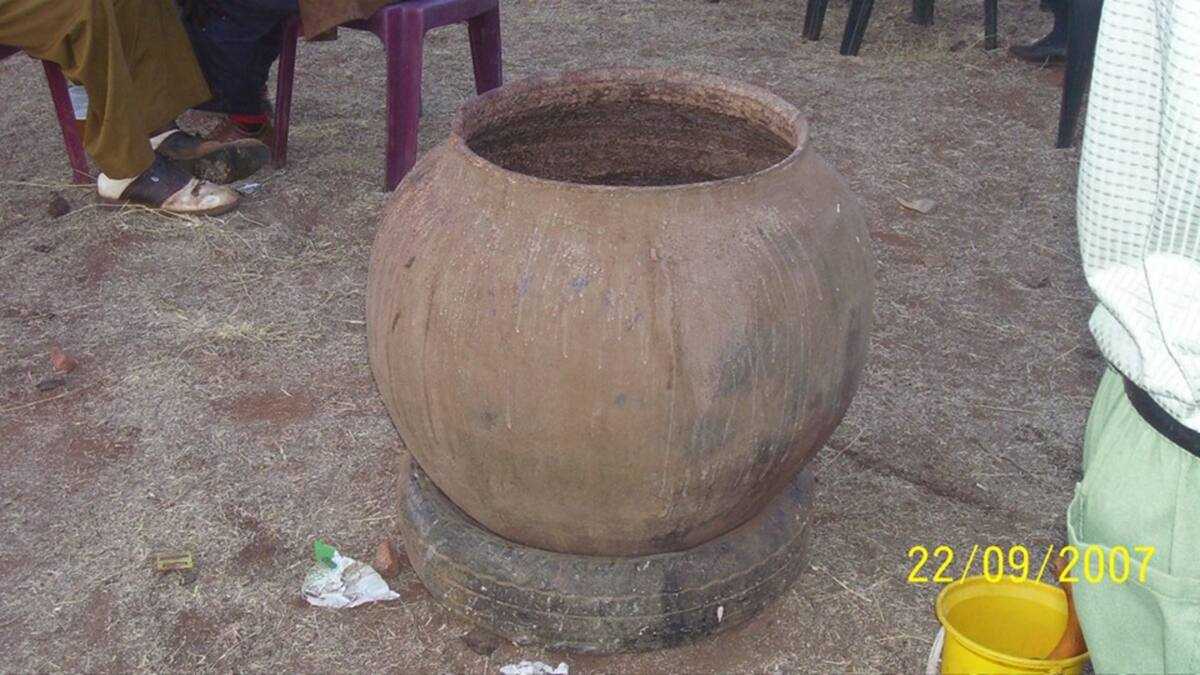 87b21a1650c6819b /upload/thumbnail1/2025/2/24/223174/thumb2