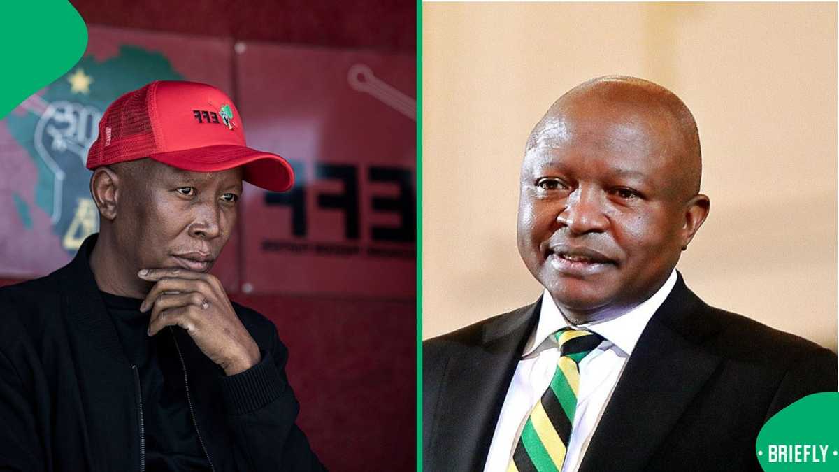 Julius Malema mourns as date for former Deputy President David Mabuza's funeral announced