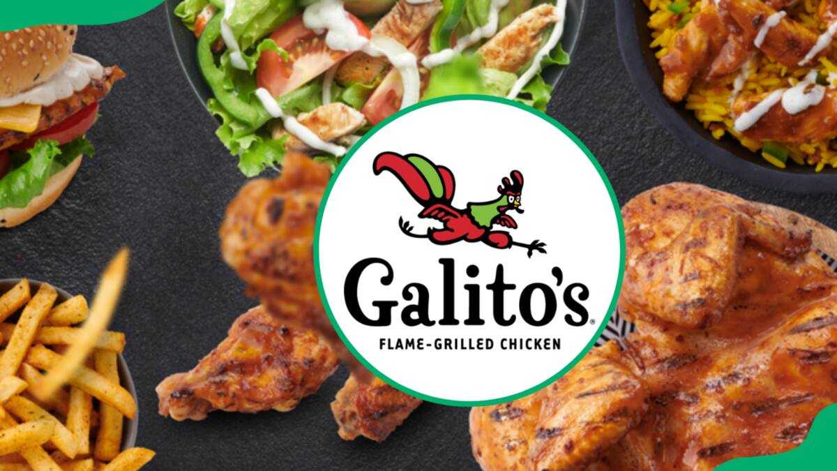 Galito s Menu And Prices In South Africa updated For 2026 Briefly co za galito-s-menu-and-prices-in-south-africa-updated-for-2026-briefly-co-za