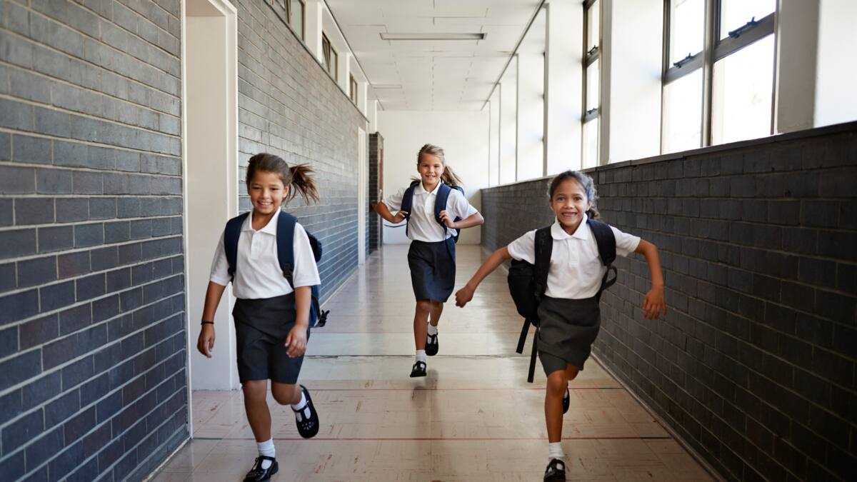 Here is a list of government primary schools in Gauteng (2025