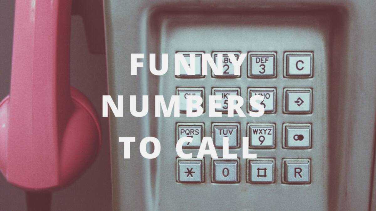 10 funny phone numbers to call when you have nothing else to do ...