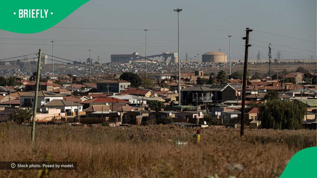 South Africa drags man mistaking mammal for giant Soweto rat in TikTok video