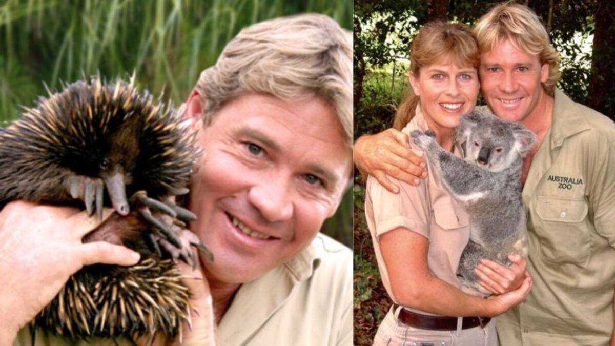 How did Steve Irwin die? Here is the untold story of The Crocodile Hunter Briefly.co.za