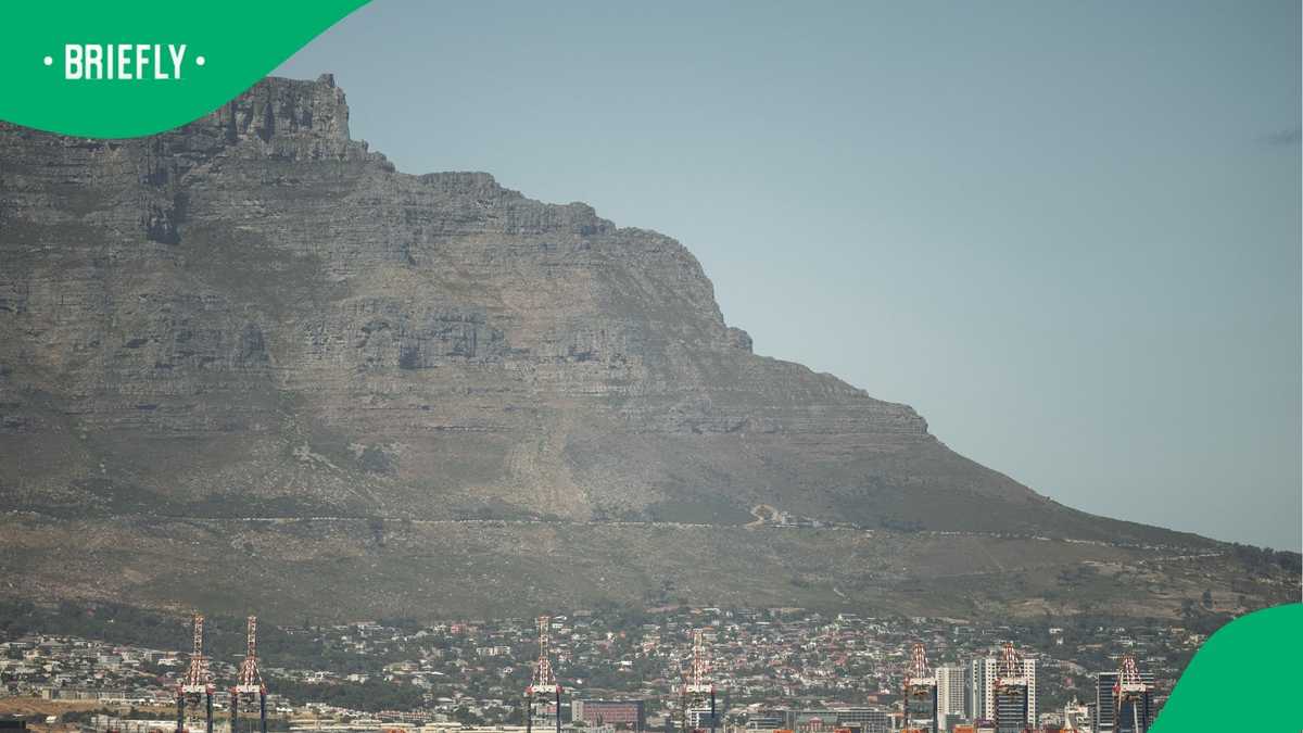 Illegal Border Crossers Charge a Fee To Facilitate Illegal Immigration: BMA