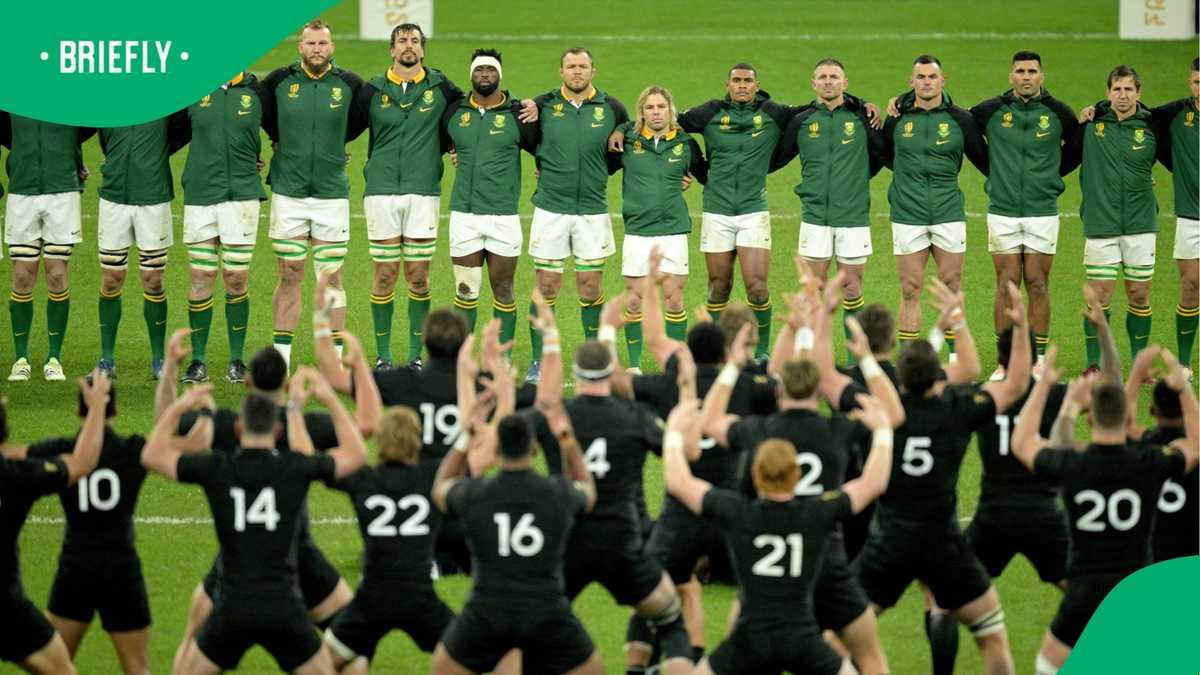 Photo: briefly.co.za Springboks All Blacks Haka