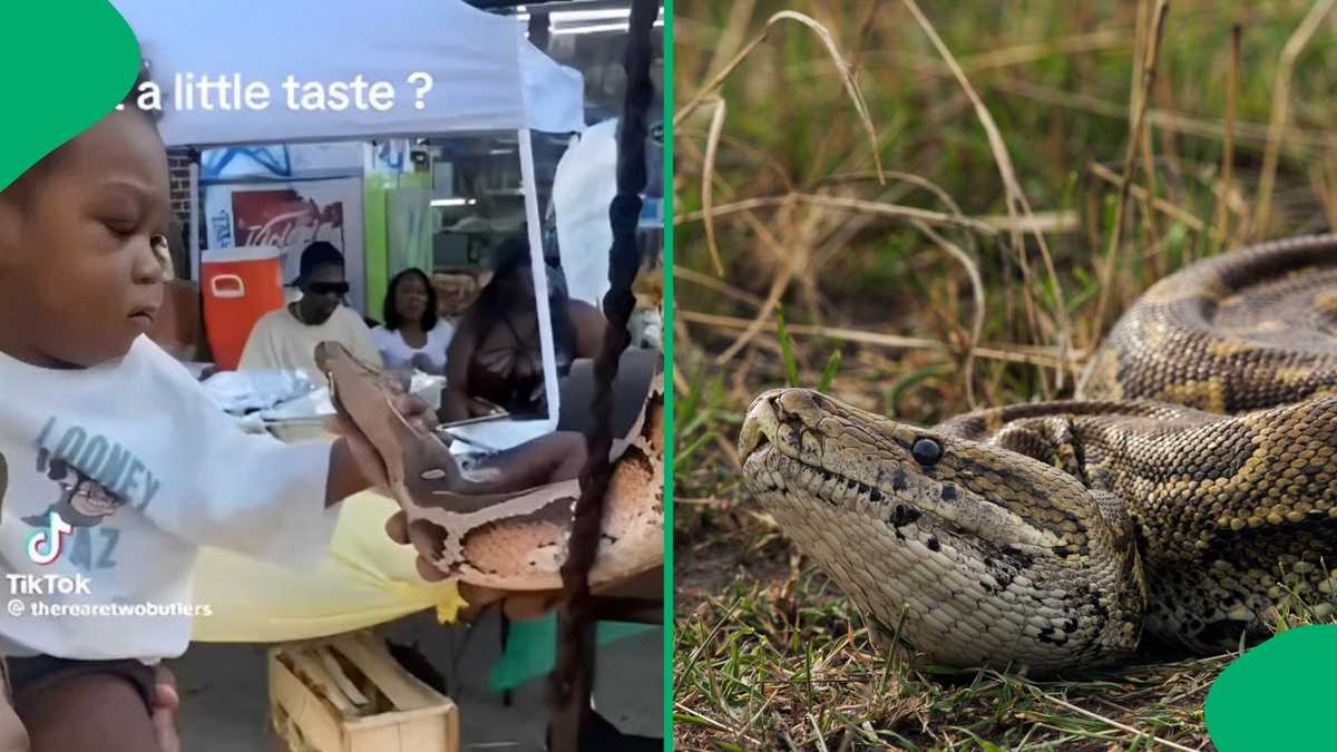 Python Baby Eating “Kids Eat Everything”: Mzansi Surprised As Curious Baby Bites Python’s ...