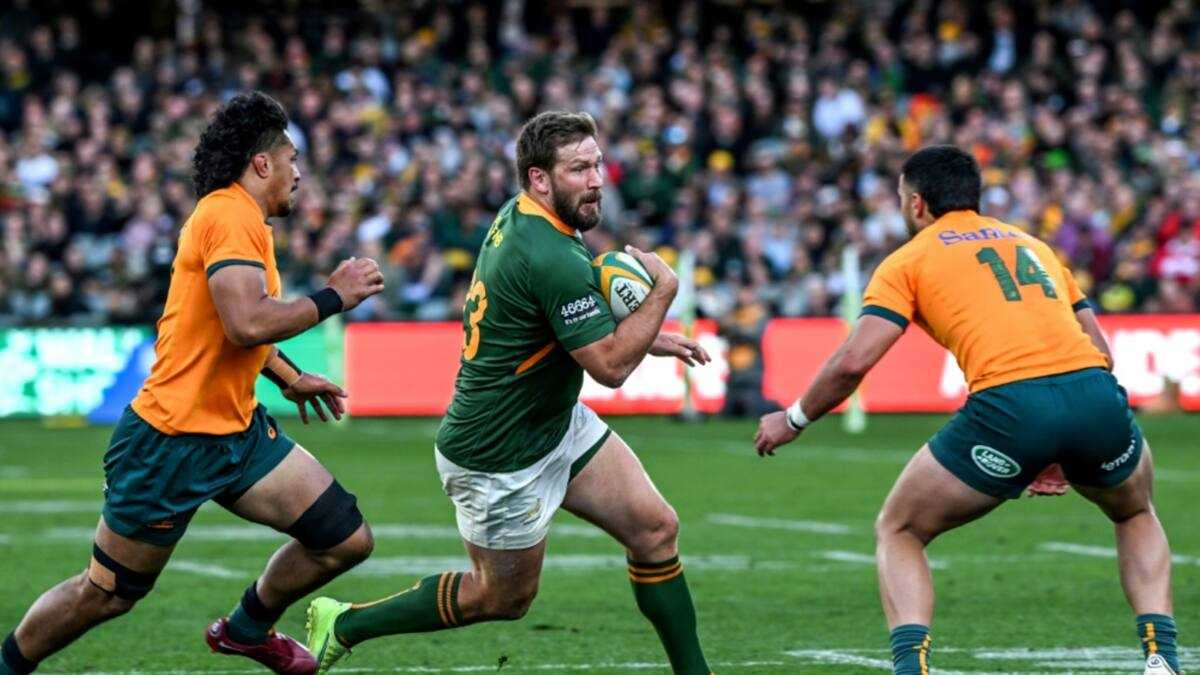 Springboks hand 'incredible' Steyn key role against Argentina - Briefly ...