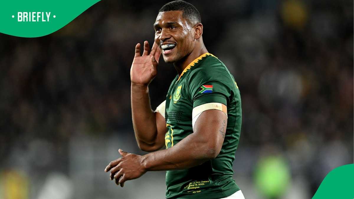 Damian Willemse Hits Back at ‘B Team’ Claims After Memorable Springboks ...
