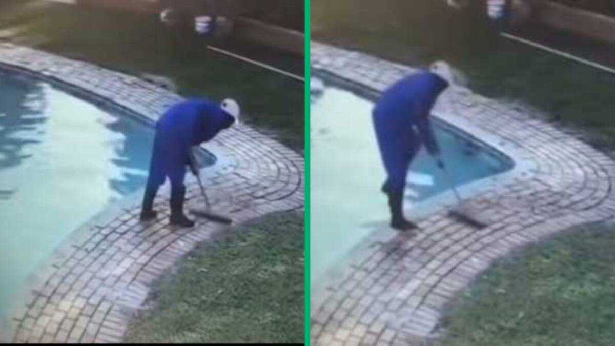 Viral TikTok Video of a Gardener’s Hilarious Pool Fall Leaves Netizens ...