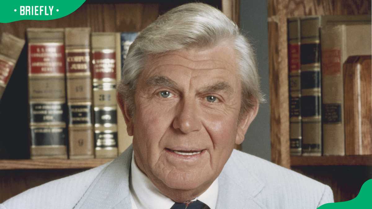 Lee Matlock The full cast of Matlock: where are they now after 40 years? - Briefly ...