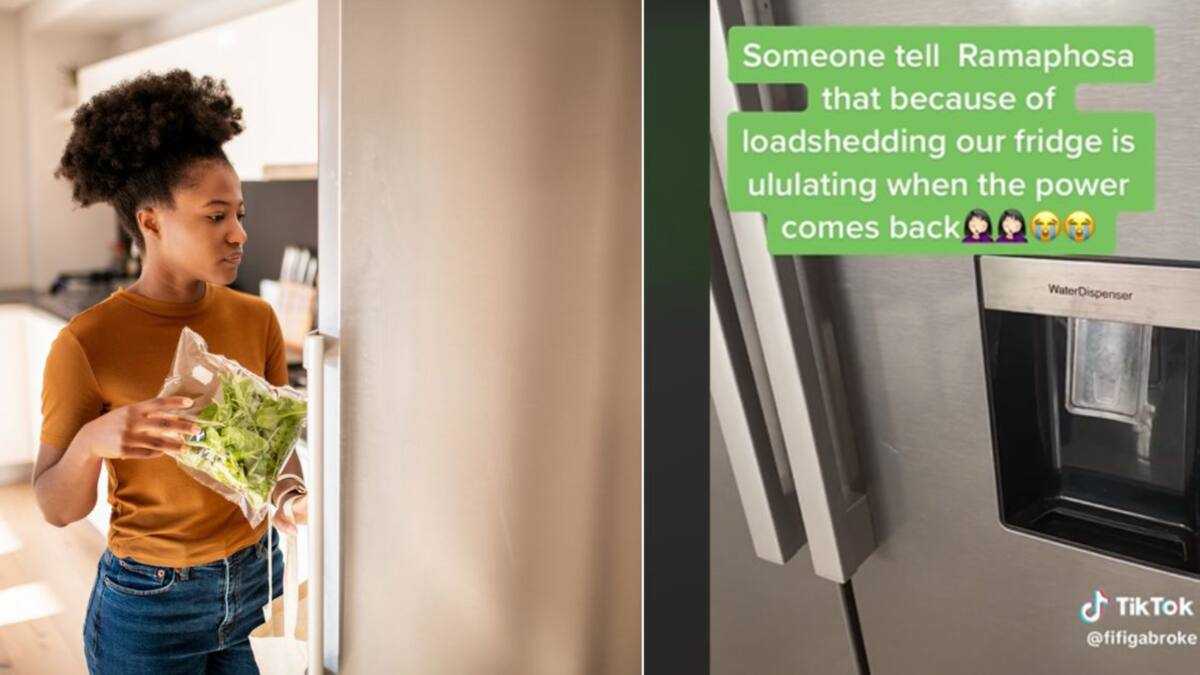 Ululating Eskom’s Loadshedding Has Fridge “Ululating” When Electricity Comes Back ...