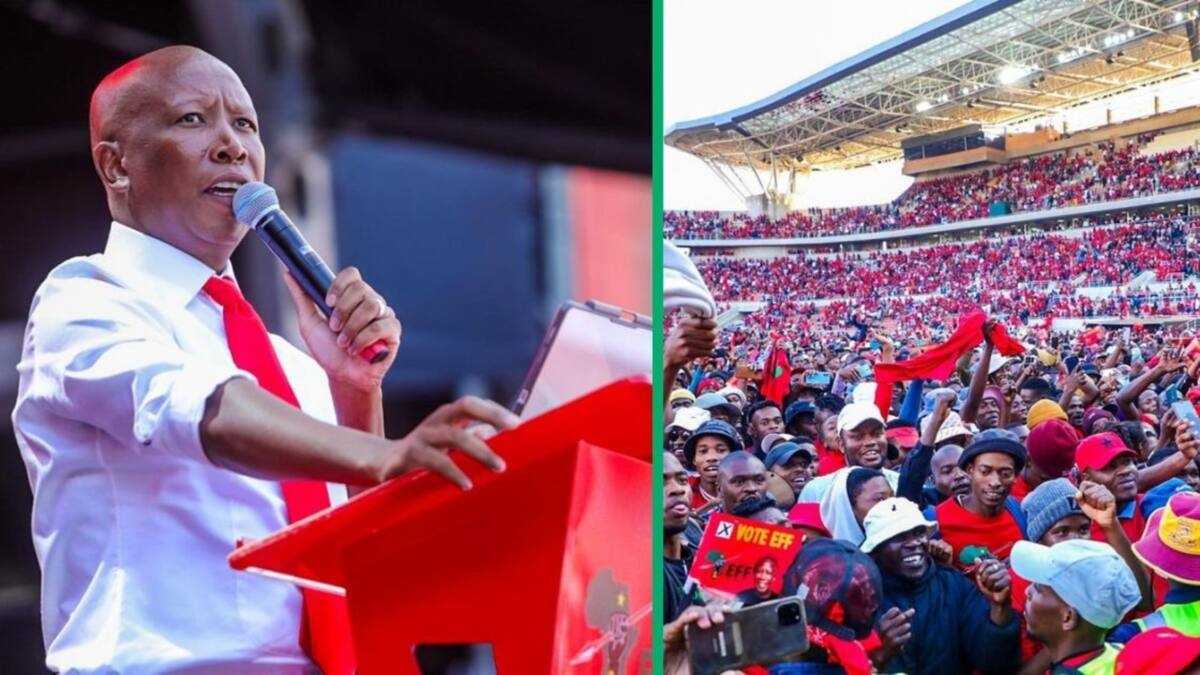 EFF Leader Julius Malema Makes Big Promises on Land and Jobs at ...