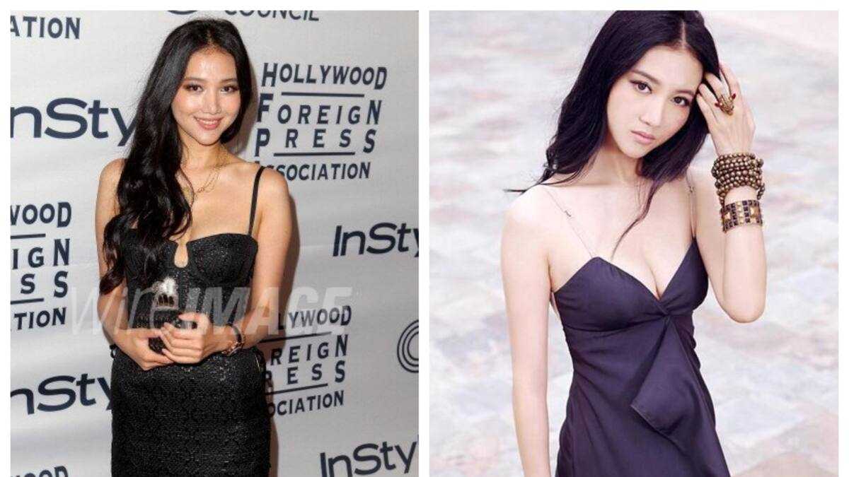 Who is Wenwen Han? Age, children, surgery, movies, profiles, net worth -  Briefly.co.za