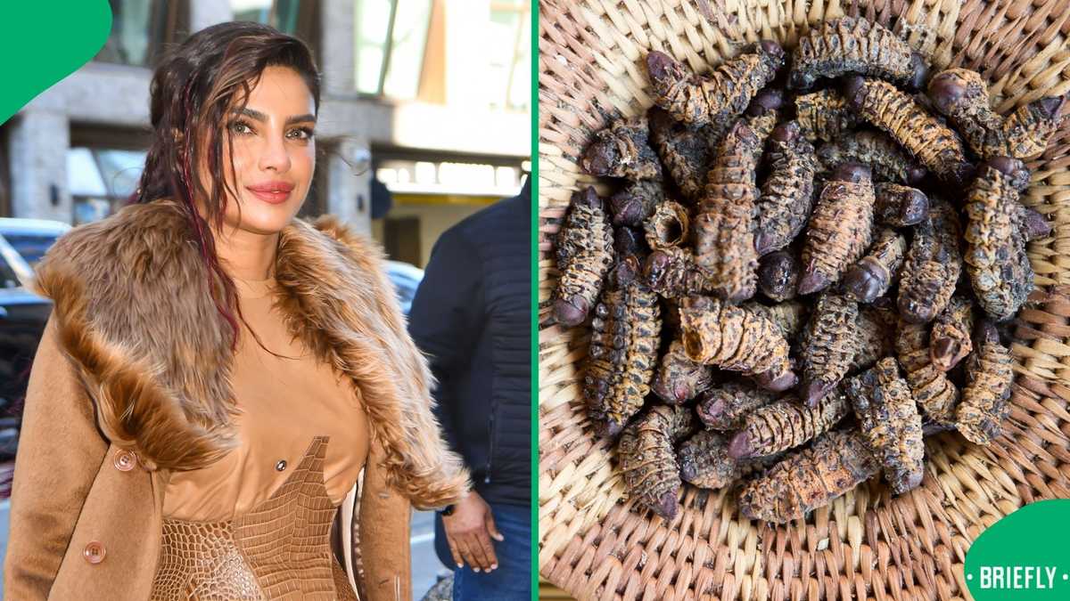 Priyanka Chopra-Jonas goes viral for embracing Mopane worms in Zimbabwe