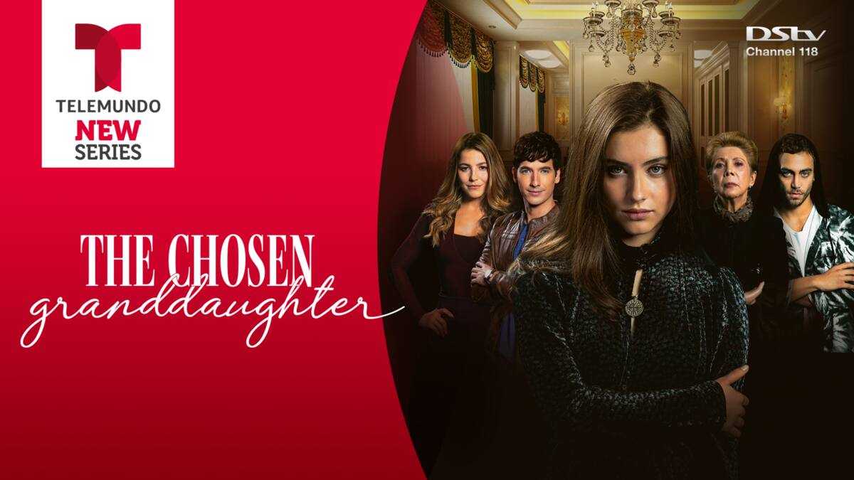 The Chosen Granddaughter on Telemundo: cast, full story, plot summary,  teasers - Briefly.co.za