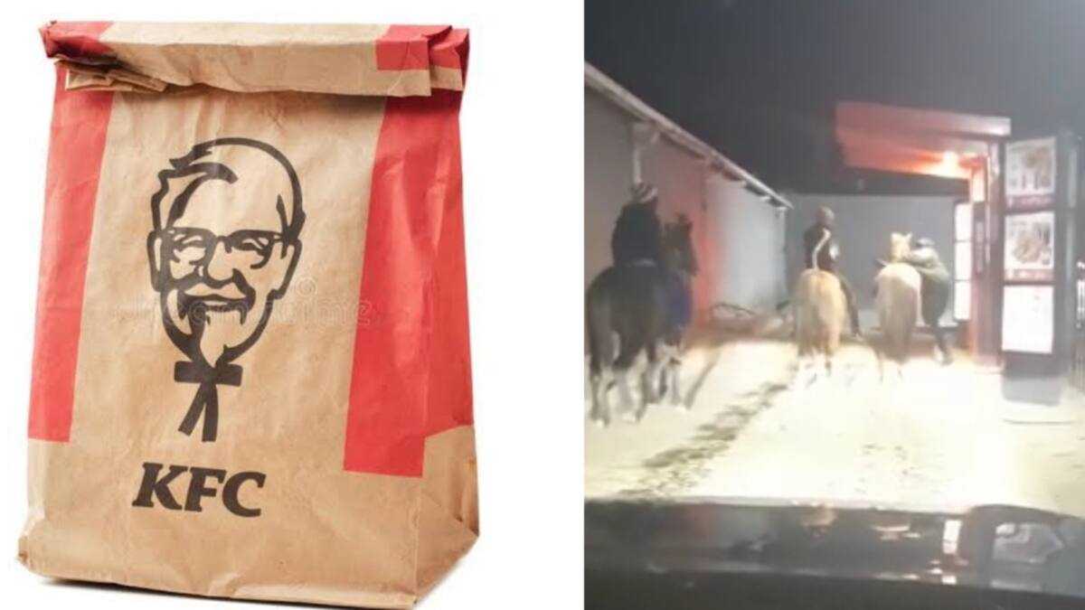 Talish Kfc Rider Video of Men Riding Horses at a KFC Drive-Thru Leaves SA Laughing Out ...