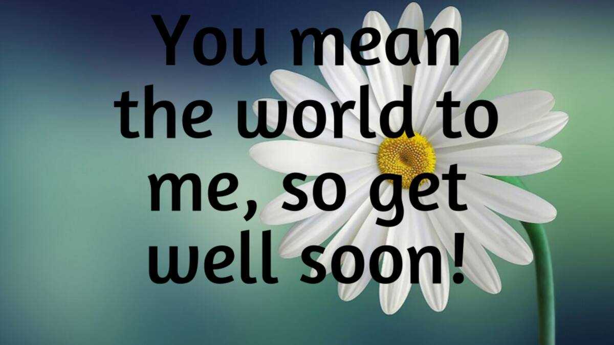100+ get well soon messages, quotes and wishes for your loved ones ...