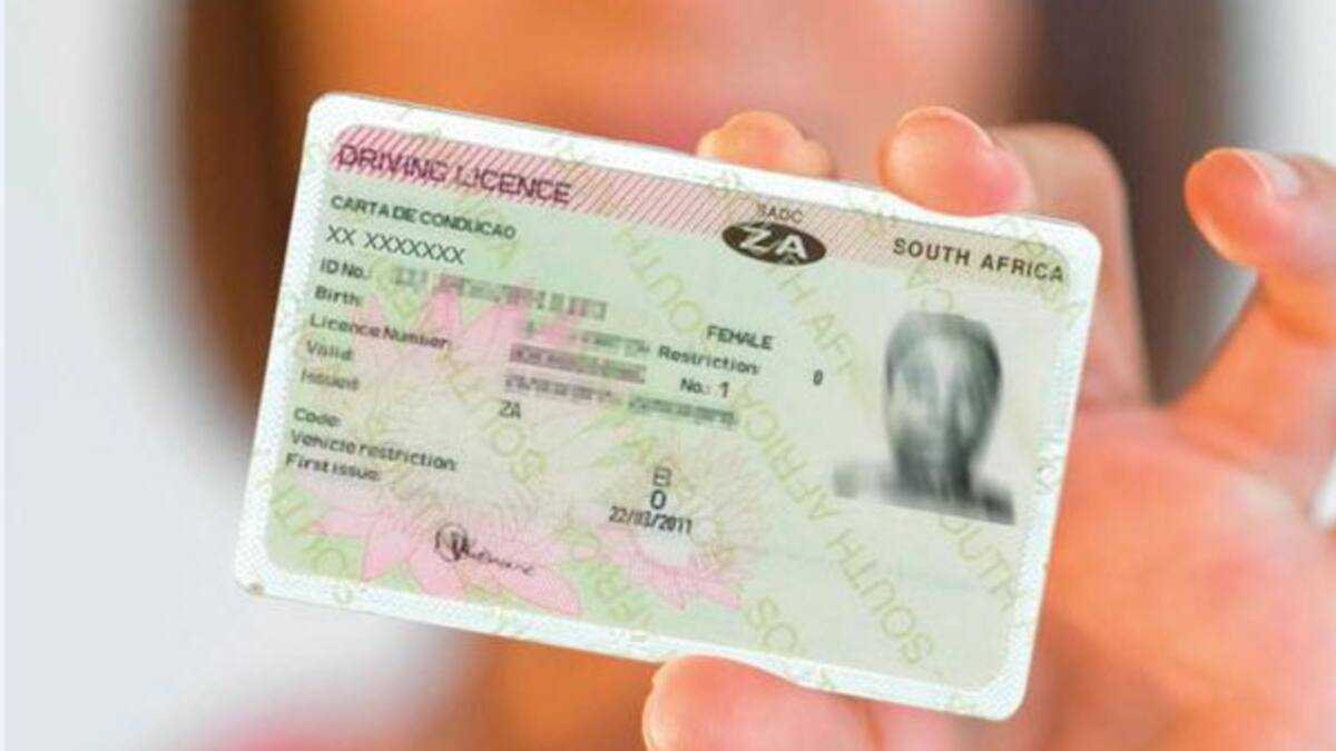 Driver license codes in SA explained: comprehensive guide and meaning ...