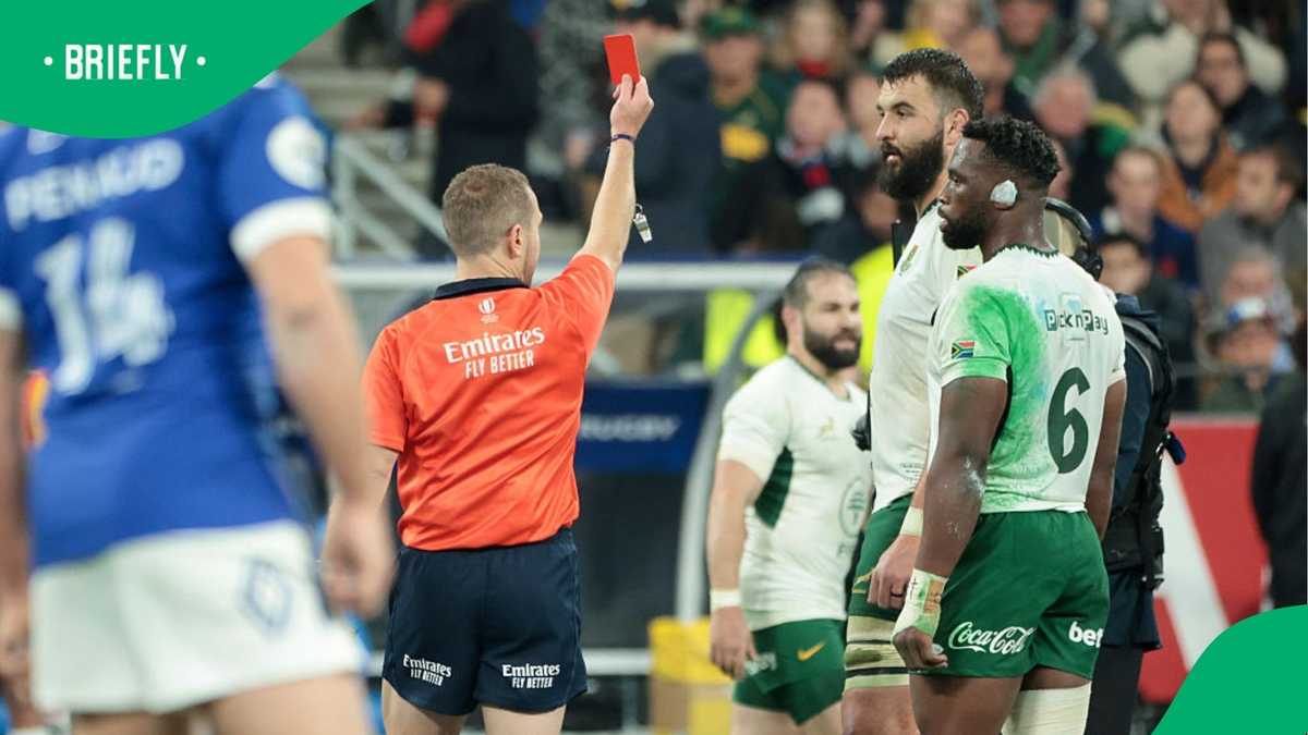 Injury setback for Springboks as key player is ruled out for season