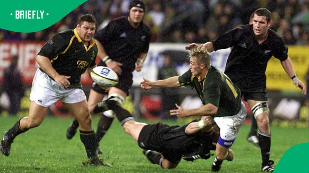 Former Springboks Legends Clash in Boxing Match as One Scores Knockdown ...