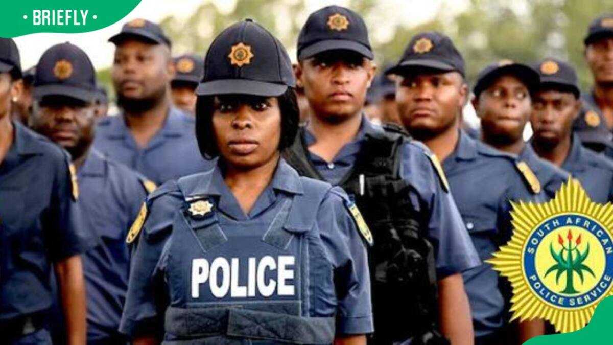 SAPS firearm status check: Everything you need to know - Briefly.co.za