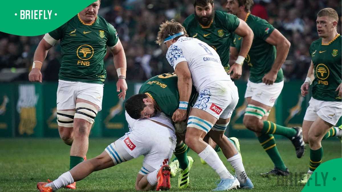 Springboks Squad Named for Rugby Championship Clashes Against Argentina ...