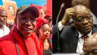 Julius Malema joins citizens to pray for Mzansi, suggests he'll go fetch Zuma