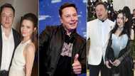 A close look at Elon Musk's multiple baby mamas as billionaire has 10 kids with a Neuralink employee, musician Grimes and more