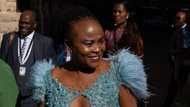 Busisiwe Mkhwebane: Perjury case against Public Protector postponed, again