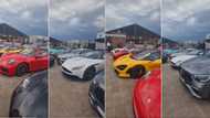 "Limpopians have money shem": Fancy Sports cars stop the show at Limpopo wedding