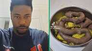 Angry wife gives husband's dinner to dog after an argument, video trends