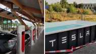 Tesla builds 'super pool' for owners in Germany to use while their car charges during hot days