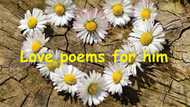 Best romantic love poems for him from her