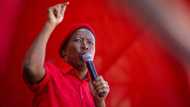 Malema criticises EFF in KZN for not responding violently to Phoenix vigilante killings