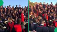 "A for effort": Parktown Boys perform Kendrick Lamar's song, receives mixed reviews