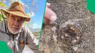 "One of the largest": Free State man claims new discovery of massive fossil skull in erosion gully