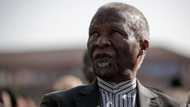 Thabo Mbeki says careerism is detrimental to ANC, references Nelson Mandela