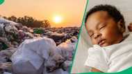 Mpumalanga tragedy: Newborn baby's body found at Mjejane dumping ground