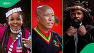 Julius Malema reveals music line-up for EFF's 13th anniversary and manifesto launch