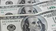 US multinationals grapple with soaring dollar