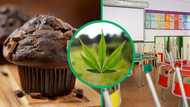 Spider-Man hallucinations: Kids rushed to hospitals after consuming 
 dagga-laced muffins