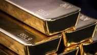 Man arrested at airport for trying to smuggle 23 pieces of gold worth R11m